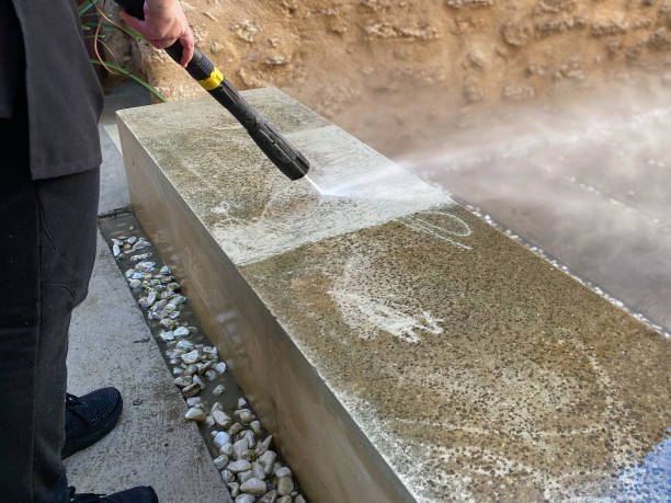 Best Local Pressure Washing Services  in Walnut Park, CA