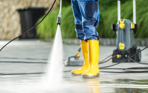 Best Roof Pressure Washing  in Walnut Park, CA